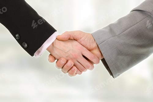 Preview: Closeup of business people shaking hands with each other