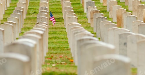 Preview: American flag planted in veterans cemetery