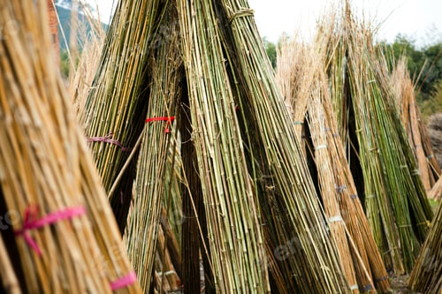 Preview: Bundles of bamboo wood outdoors