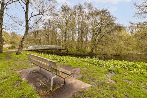 Preview: a bench in a park next to a river