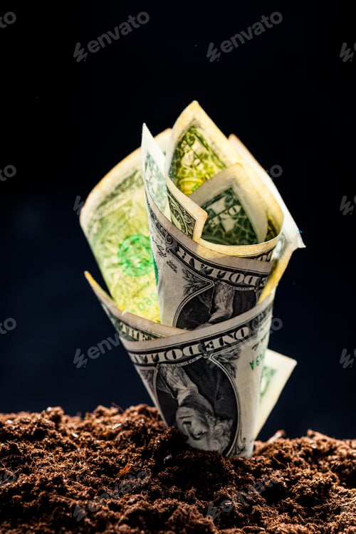 Preview: American dollars grow from the ground