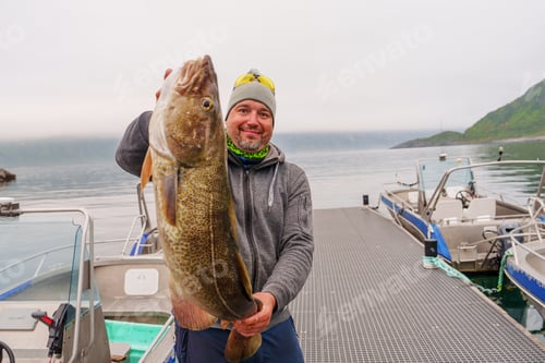 Preview: Fisherman with big cod fish. Norwegian fisherman has caught large Cod in Norwegian Fjord islands