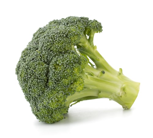 Preview: Broccoli vegetable isolated on white background