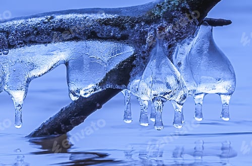 Preview: Icicle formations on a branch of a tree over the lake