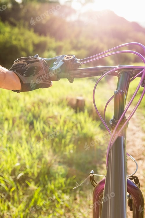 Preview: Woman mountain biking and holding handlebars in the nature