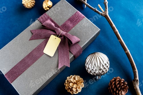 Vista previa: Elegant Christmas gift