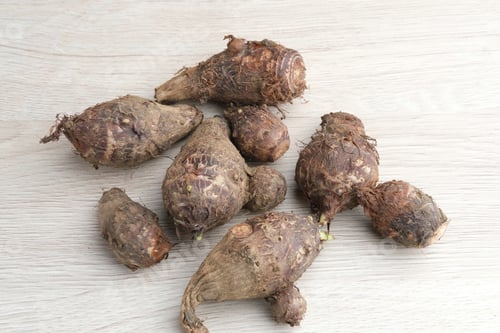 Preview: Taro, Talas belitung, kimpul or bentul