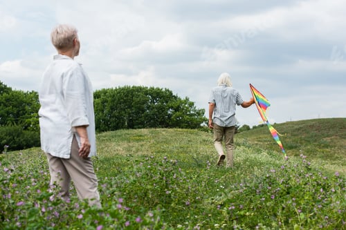 Preview: back view of woman with grey hair looking at husband walking with kite on green hill