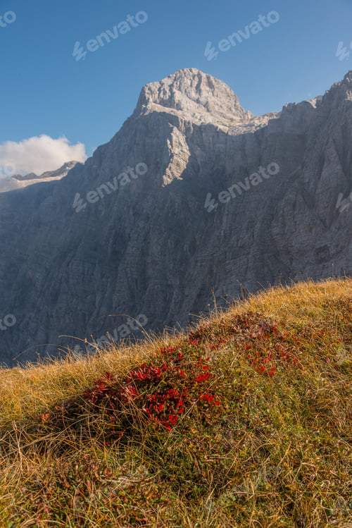 Preview: Autumn in the mountains