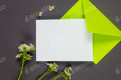 Preview: Green envelope with empty white card for text on grey background