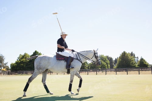 Preview: Mid adult man playing polo
