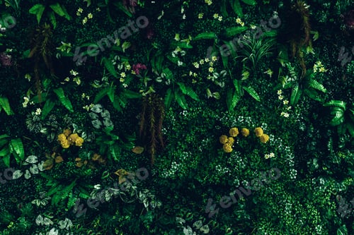 Preview: Herb wall, plant wall, natural green wallpaper and background. nature wall.