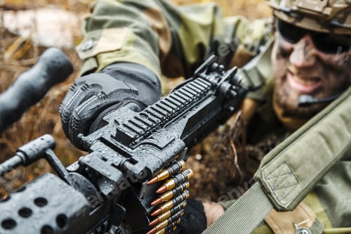 Preview: norwegian soldier in the forest
