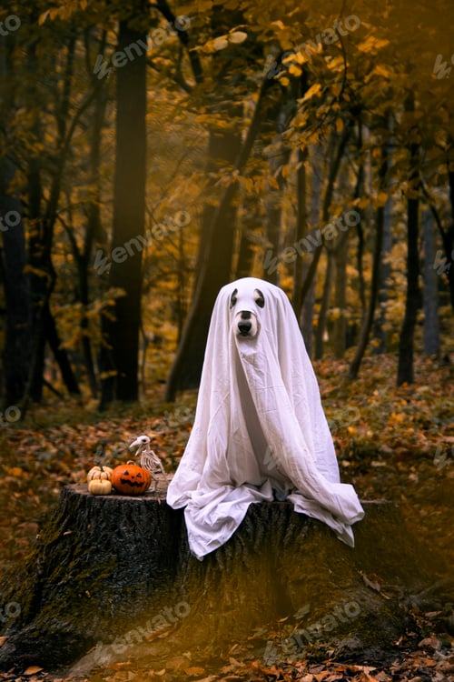 Preview: Dog in a ghost costume. Halloween concept
