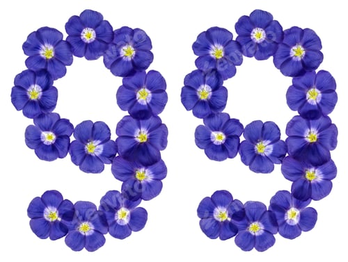 Preview: Arabic numeral 99, ninety nine, from blue flowers of flax, isolated on white background