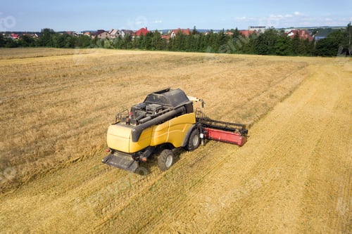 Preview: Aerial view of combine harvester harvesting large ripe wheat field. Agriculture from drone view.