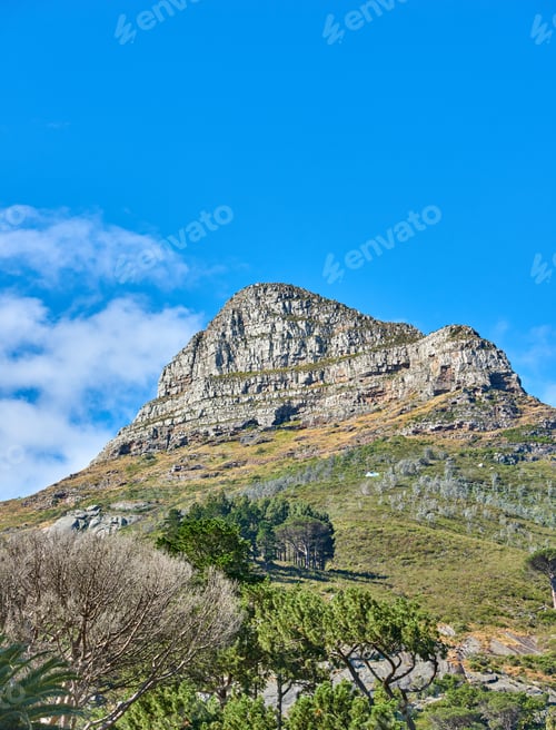Preview: Lions Head
