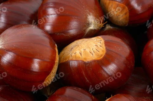 Preview: Chestnuts