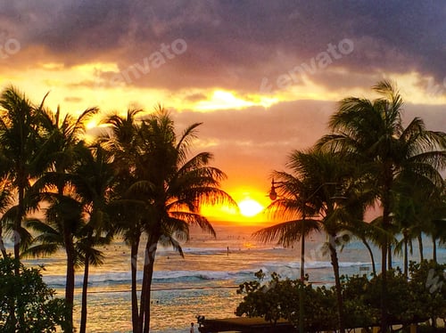 Preview: Dramatic sunset at Waikiki Beach with palm trees in the foreground and waves breaking on the shore