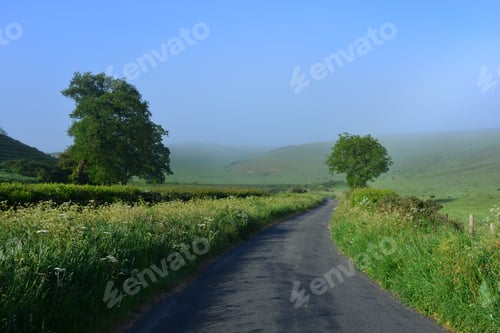 Preview: English country lane through rural countryside. Misty early morning rural landscape