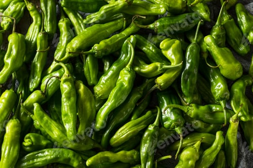 Preview: Raw Green Organic Shishito Peppers
