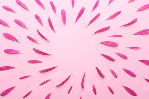 Preview: Spring mockup of pink flower petals on a pink background. Top view.