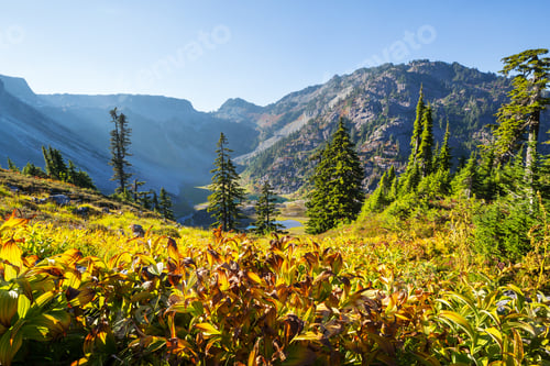 Preview: Autumn in mountains