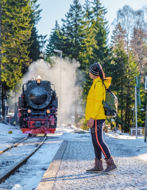 Preview: women watching the steam train during winter in the snow in the Harz Germany