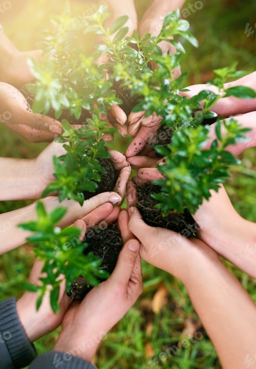 Preview: Cropped shot of a group of people holding plants growing out of soil