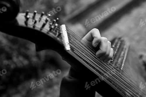 Preview: bandura player plays on in the garden