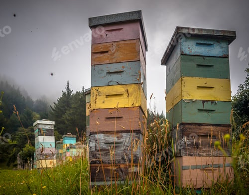 Preview: Colorful wooden Bee Hives