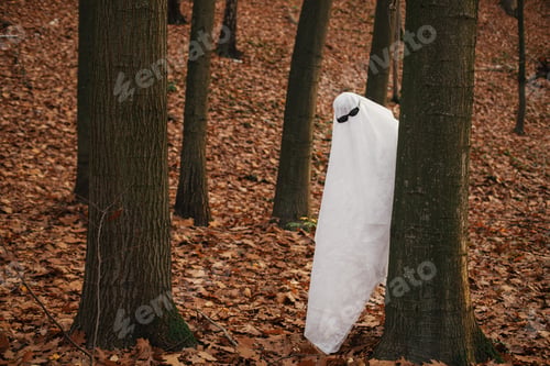 Preview: Funny ghost with black glasses peeking out of a tree in moody autumn forest