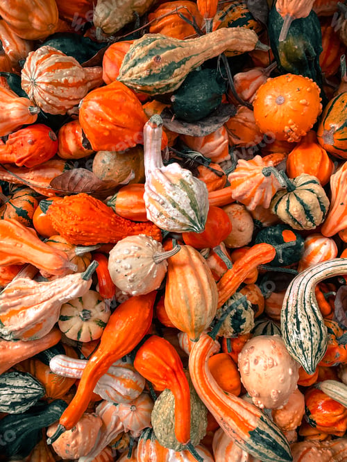 Preview: Pumpkins