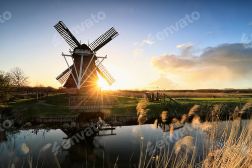 Preview: golden sunshine behind windmill in spring