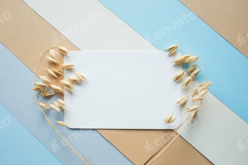 Preview: Blank white business card mockup and cereal dried flower on colorblock table backgound.