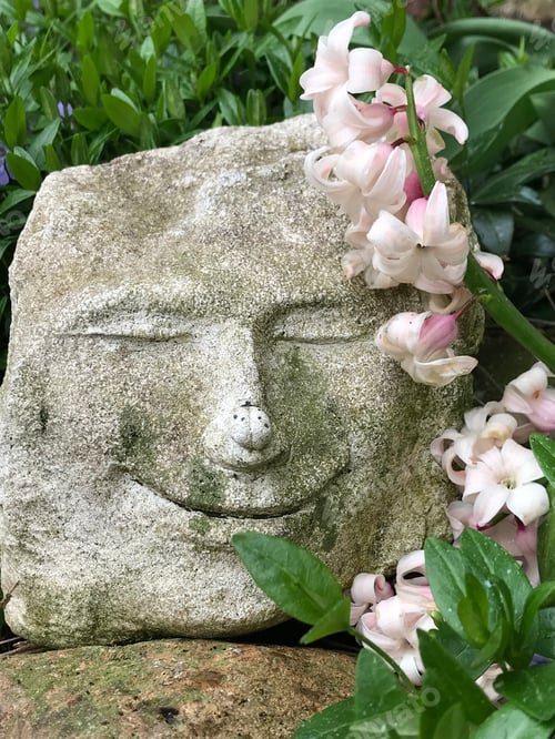 Preview: Rock sculpture of a face & lady bug - with a pink hyacinth