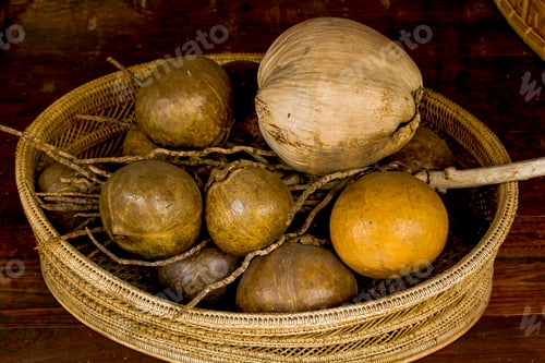 Preview: Dried coconut In the basket to decorate the room.