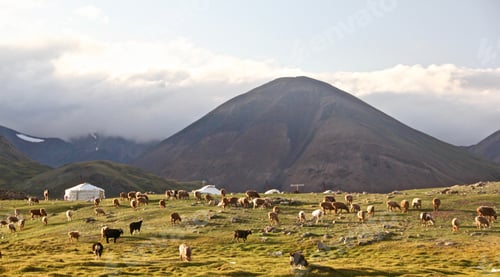 Preview: Wide shot of lowlands in the middle-east with tents set up by explorers