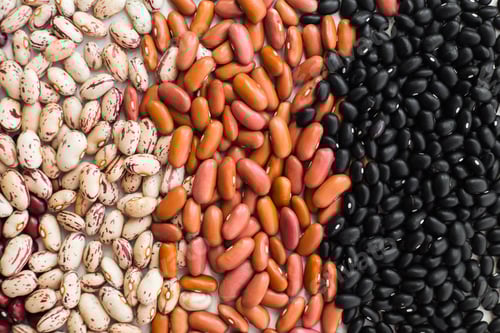 Preview: Different varieties of bean seeds. Beans background.