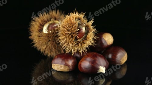 Preview: Chestnuts on a black reflective background