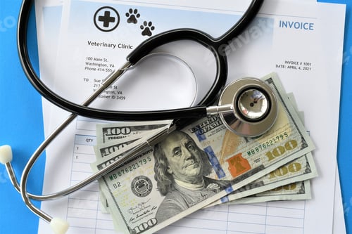 Preview: Medical, care cost of pets, cats, dogs, house pet, animals, veterinarian visits medicine, vet clinic
