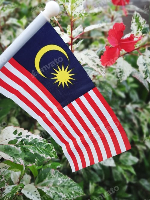 Preview: Malaysia flag with Malaysia national flower Hibiscus tree background.