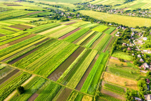 Preview: Aerial view of a small village win many houses and green agricultural fields in spring