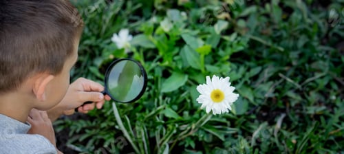Preview: A happy child is looking into a magnifying glass, enjoying a sunny day in summer.