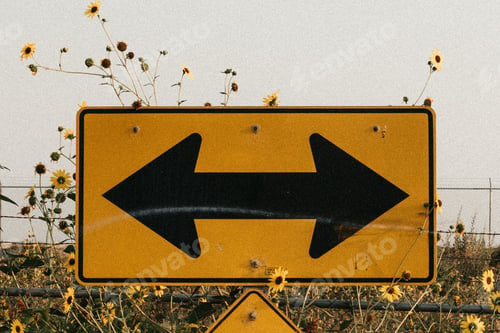 Preview: Closeup shot of a yellow road sign in a field with black arrows pointing both ways