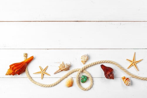 Preview: seashells on wooden background