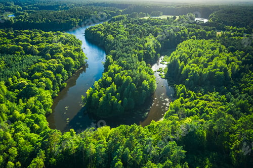 Preview: Curvy river between forest. Aerial view of wildlife in Poland