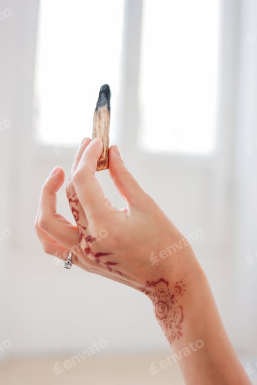 Preview: Palo santo or Bursera graveolens. Blonde young woman holding stick holy wood, close up