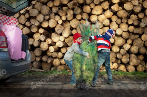 Preview: Two boys lifting Christmas tree to car