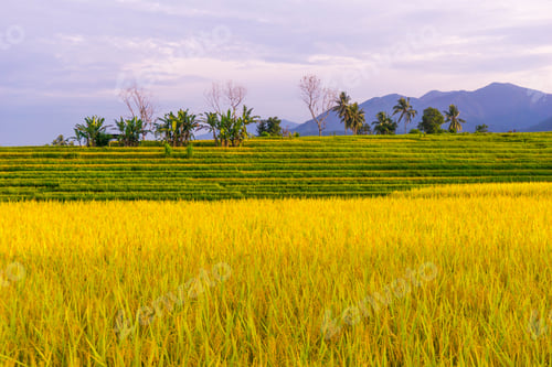 Preview: beautiful morning view indonesia panorama landscape